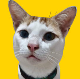 jinx