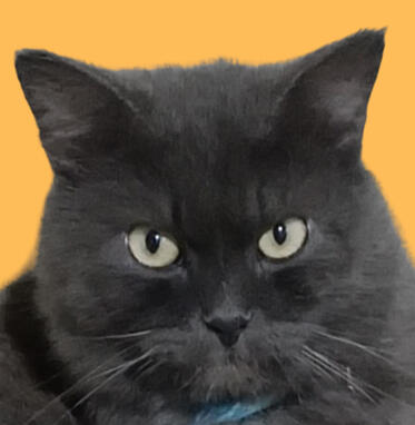 nimbus