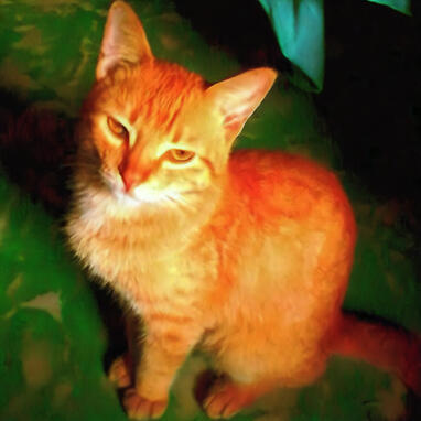 tiger